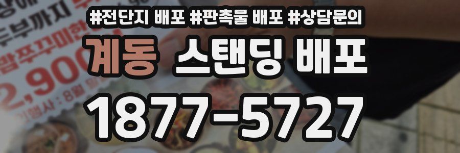 계동 스탠딩 배포