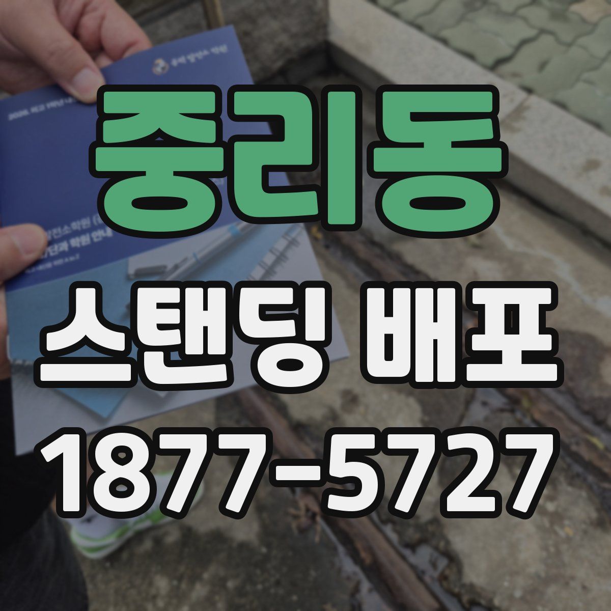 중리동 스탠딩 배포
