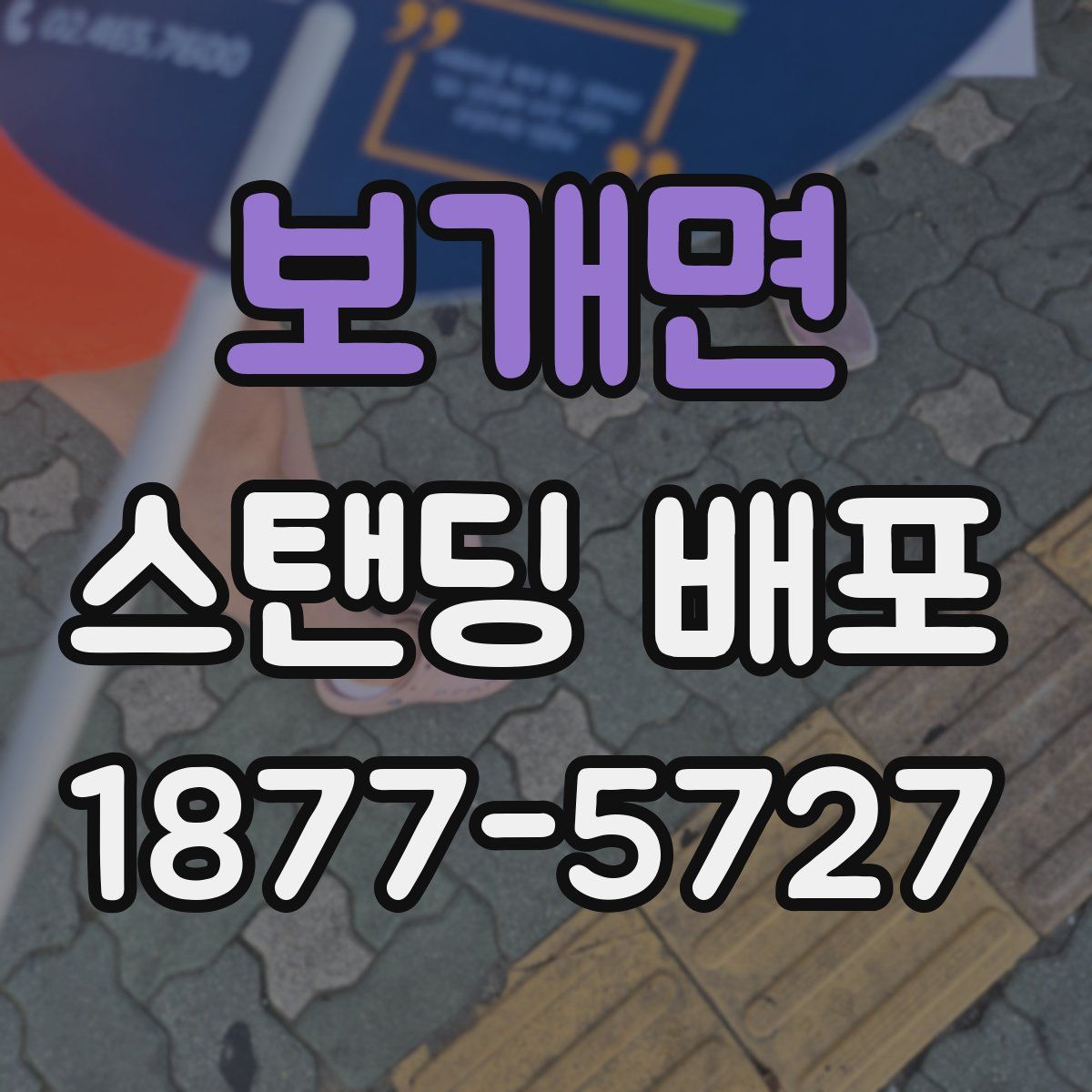 보개면 스탠딩 배포