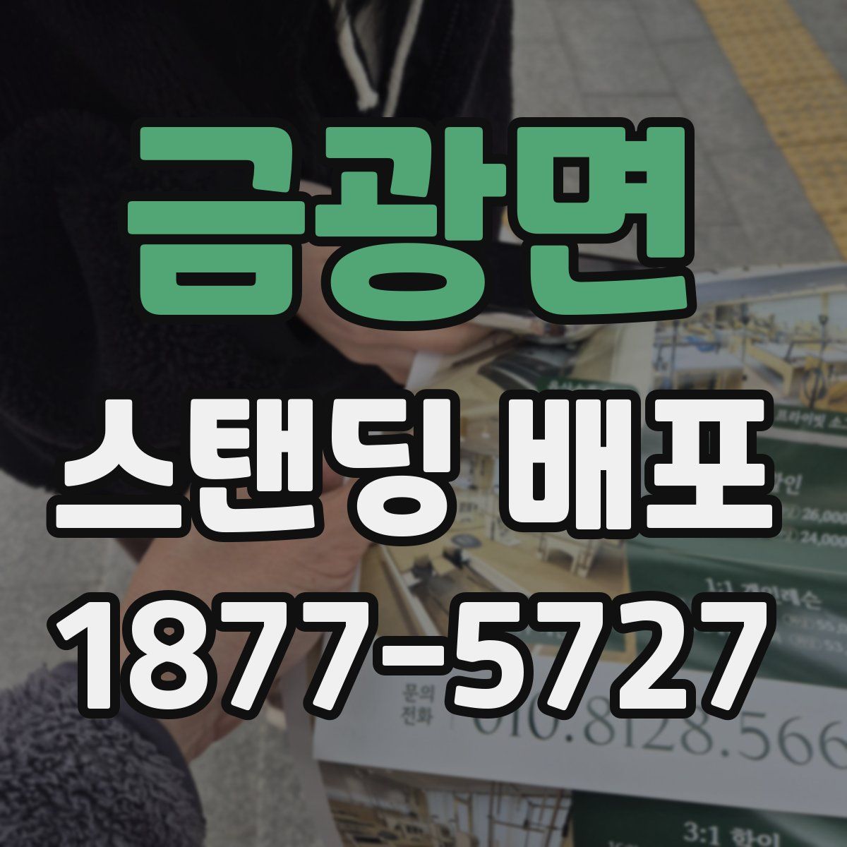 금광면 스탠딩 배포
