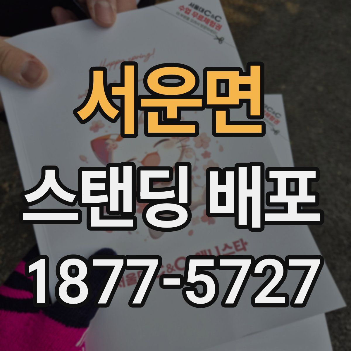 서운면 스탠딩 배포