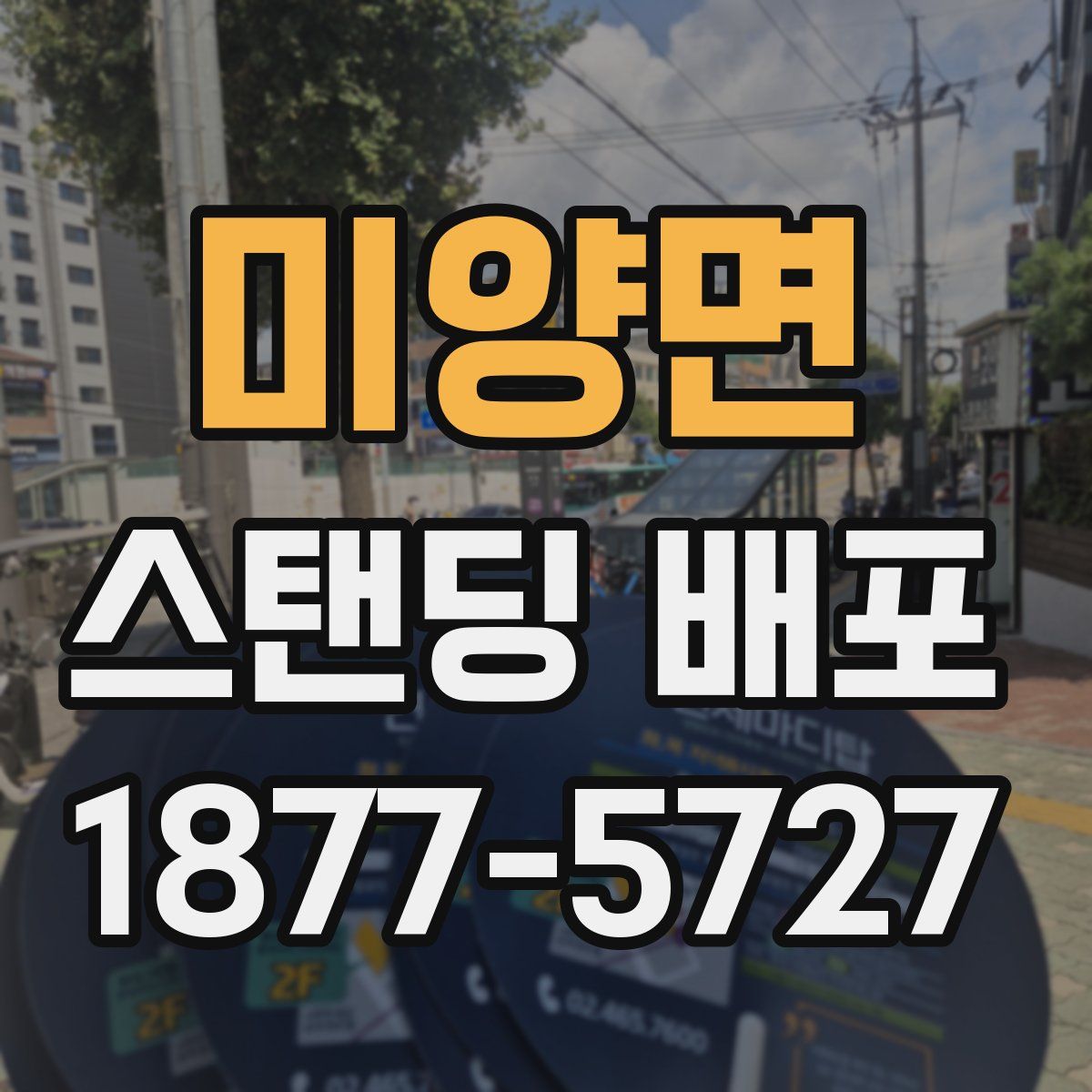 미양면 스탠딩 배포
