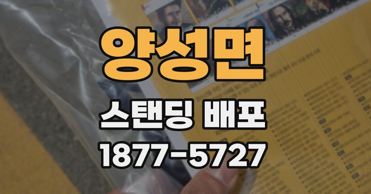 양성면 스탠딩 배포