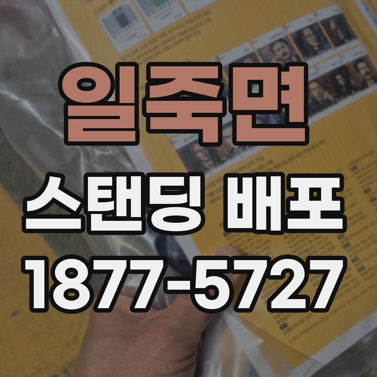 일죽면 스탠딩 배포