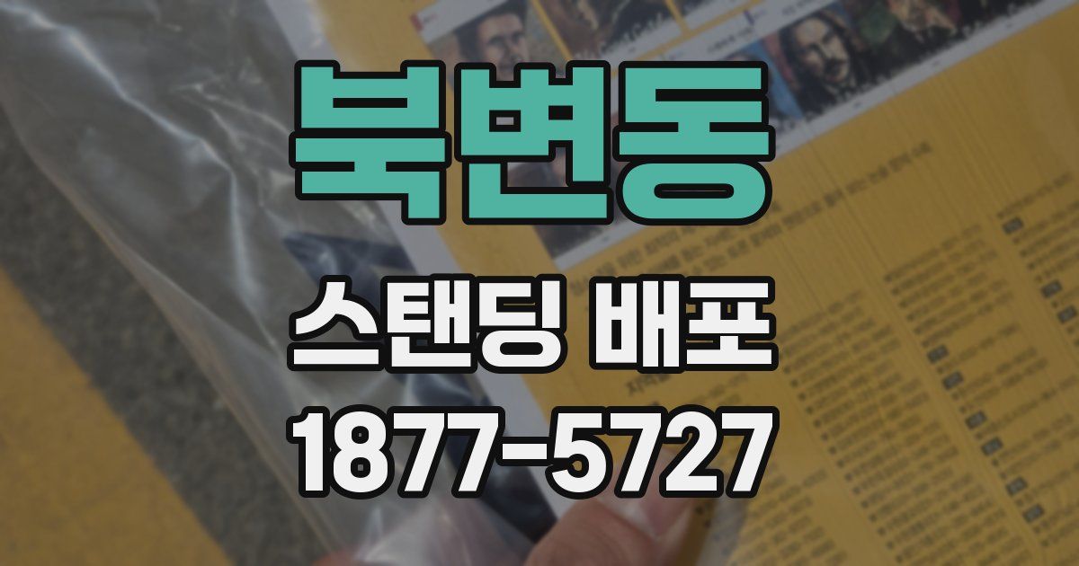북변동 스탠딩 배포
