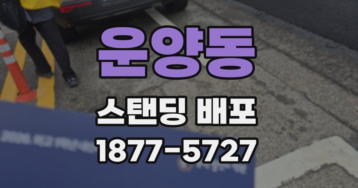운양동 스탠딩 배포