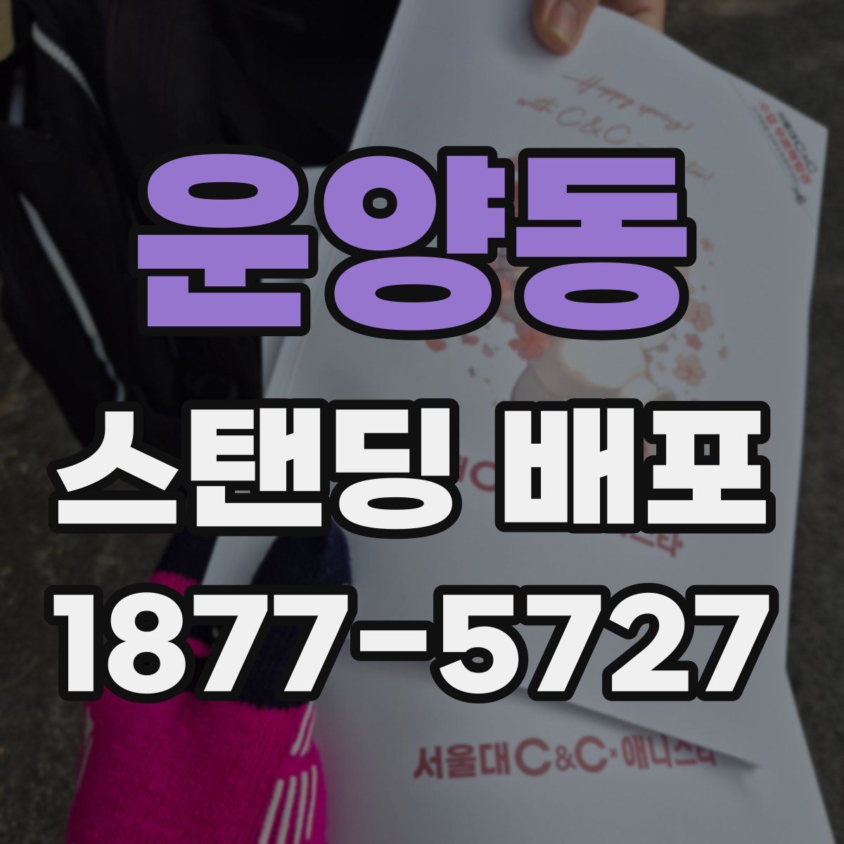 운양동 스탠딩 배포