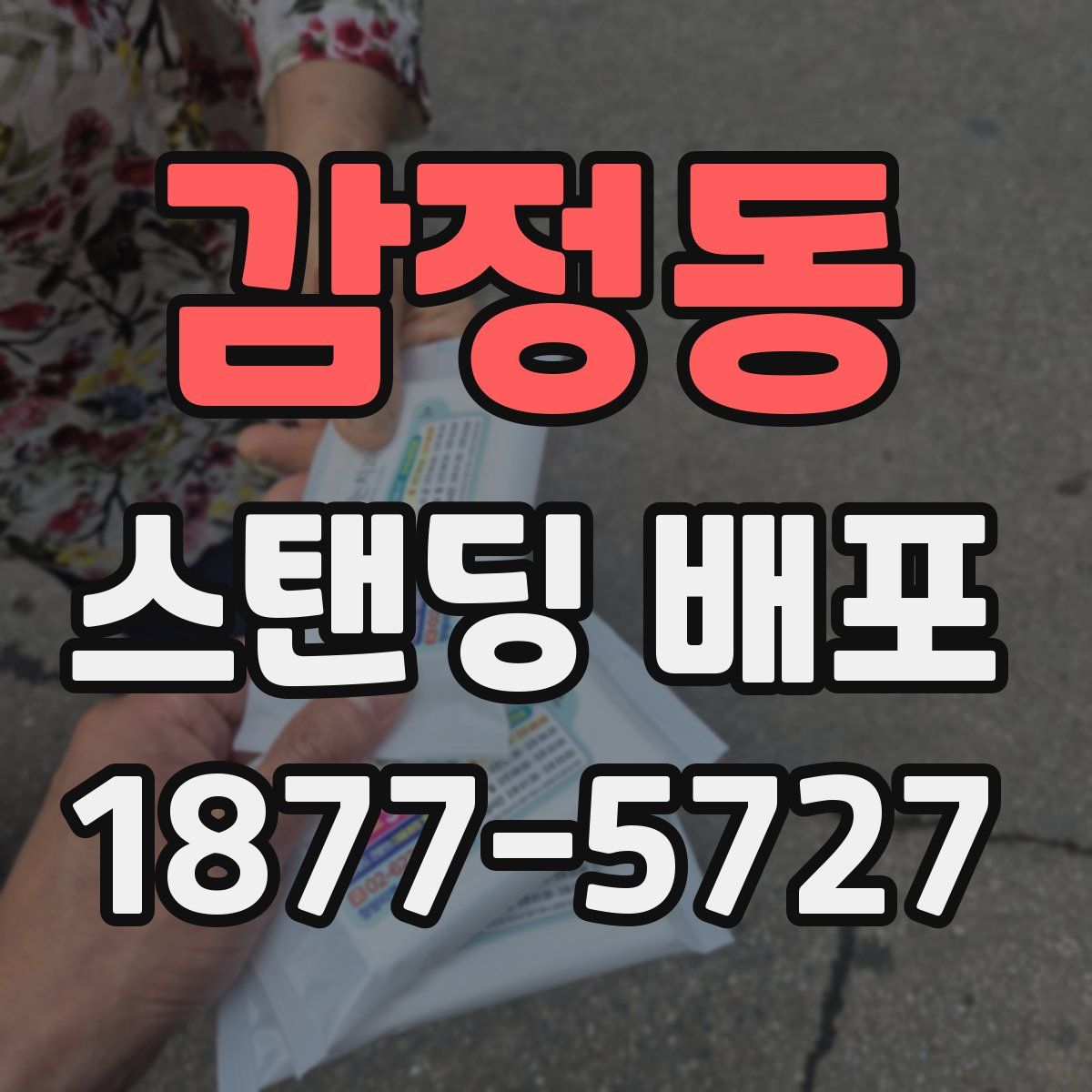 감정동 스탠딩 배포