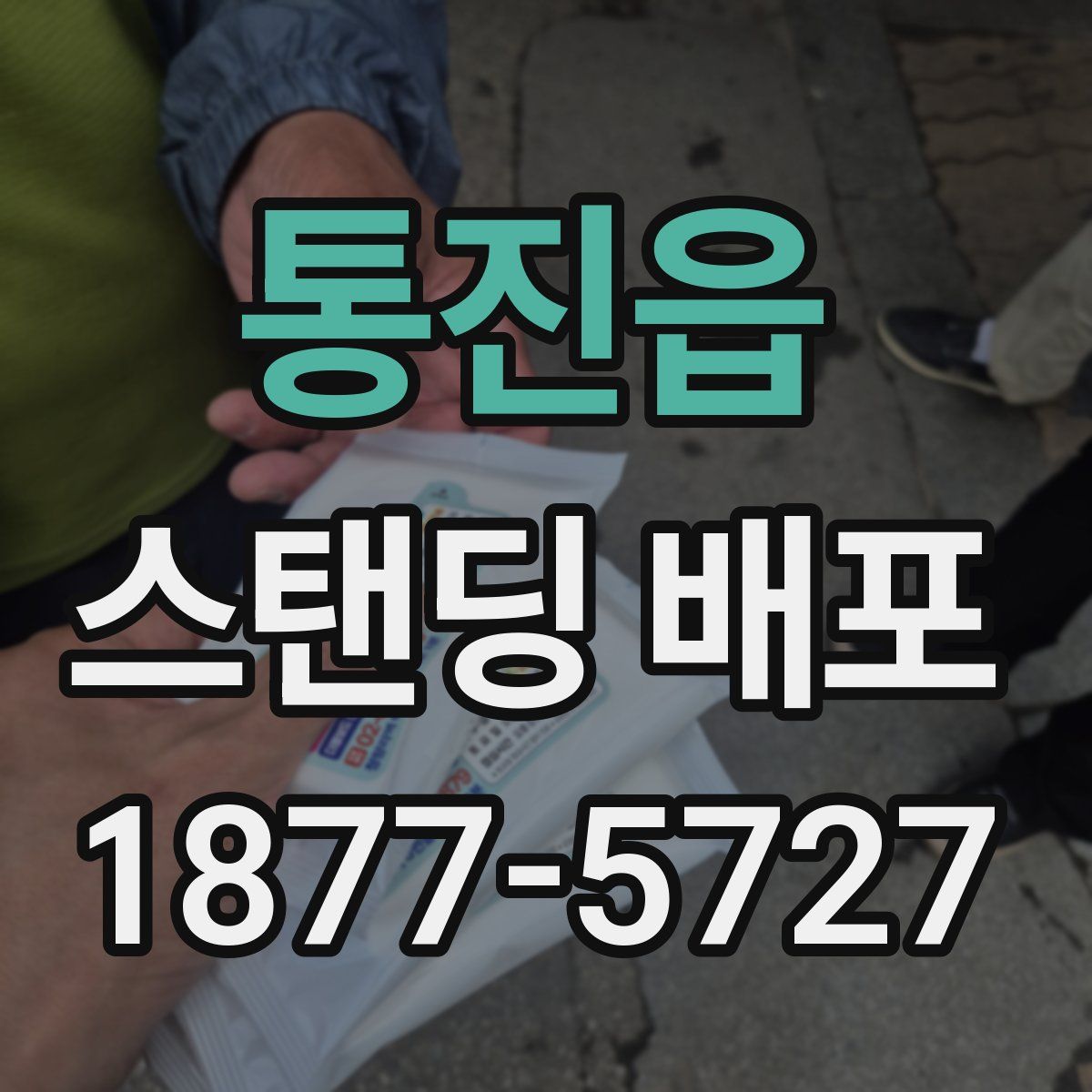 통진읍 스탠딩 배포