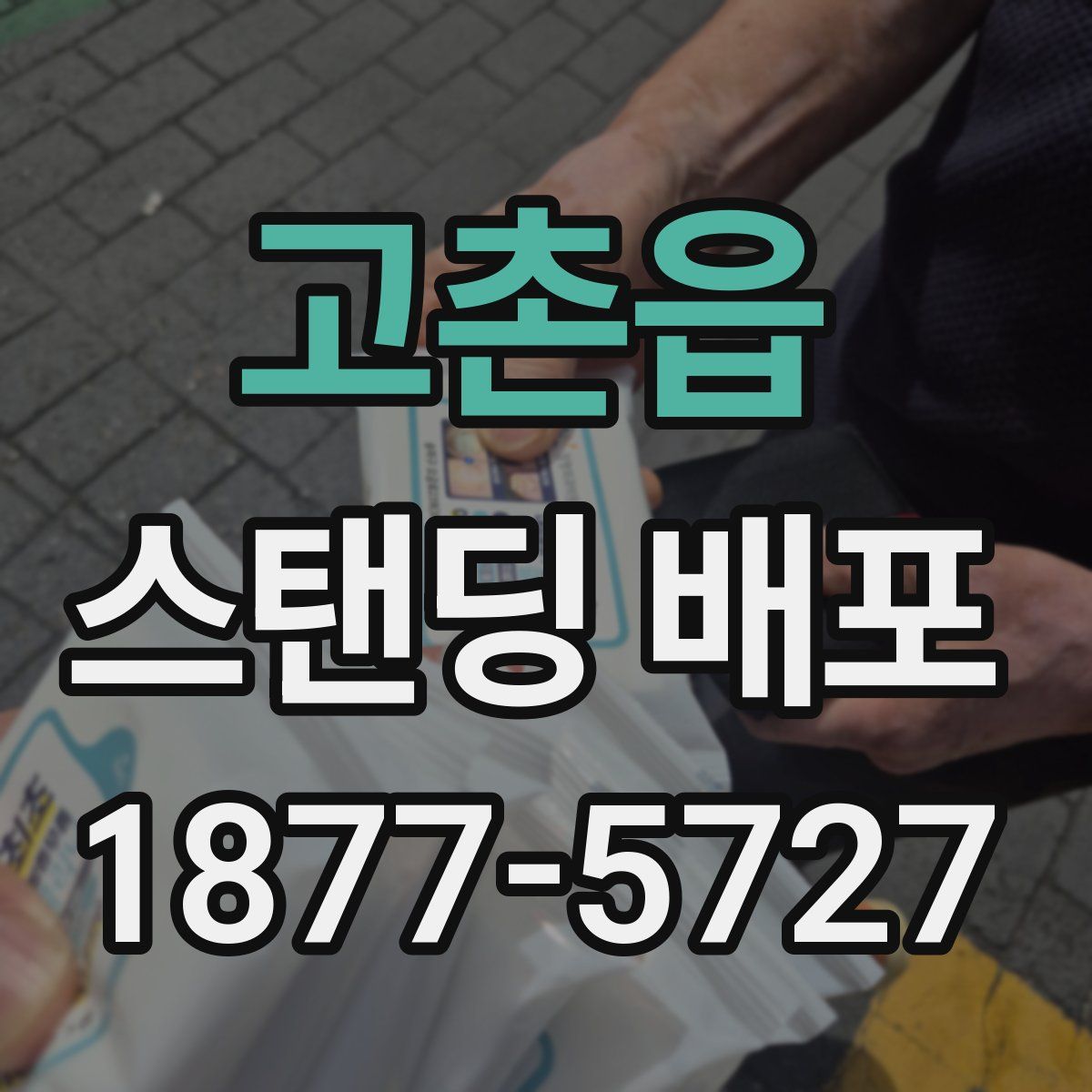 고촌읍 스탠딩 배포