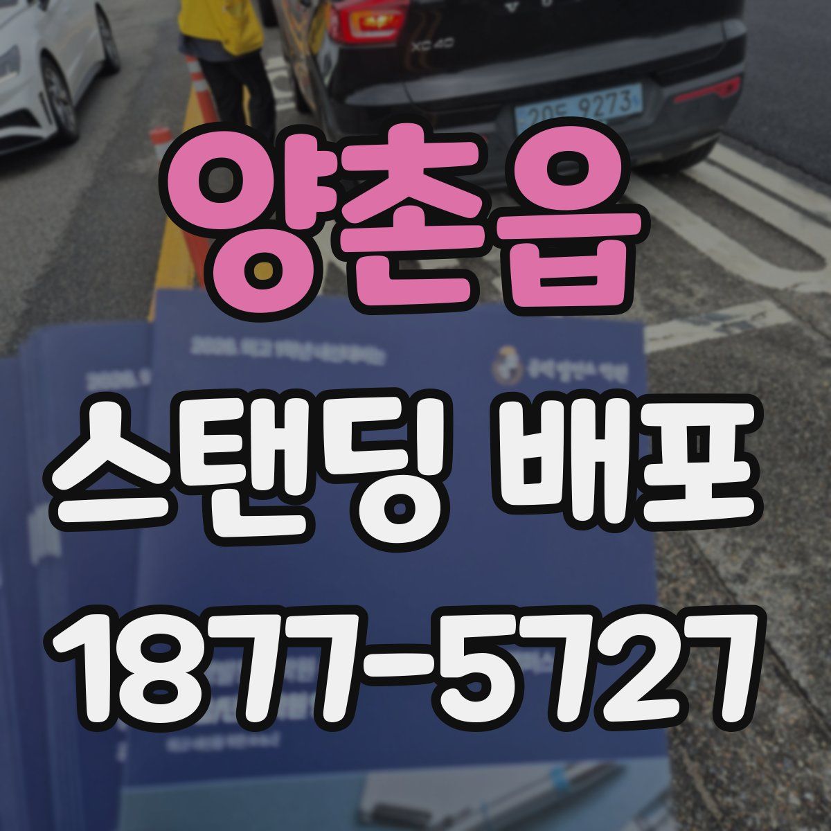 양촌읍 스탠딩 배포