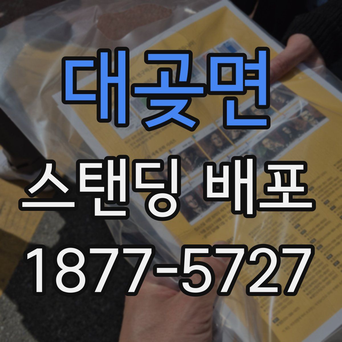 대곶면 스탠딩 배포