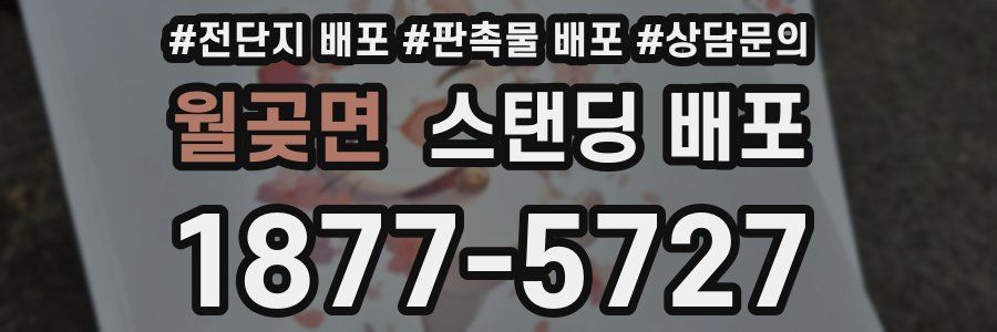 월곶면 스탠딩 배포