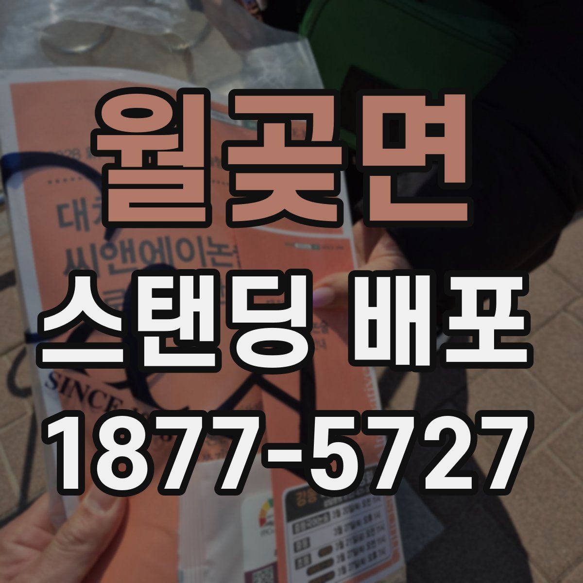 월곶면 스탠딩 배포