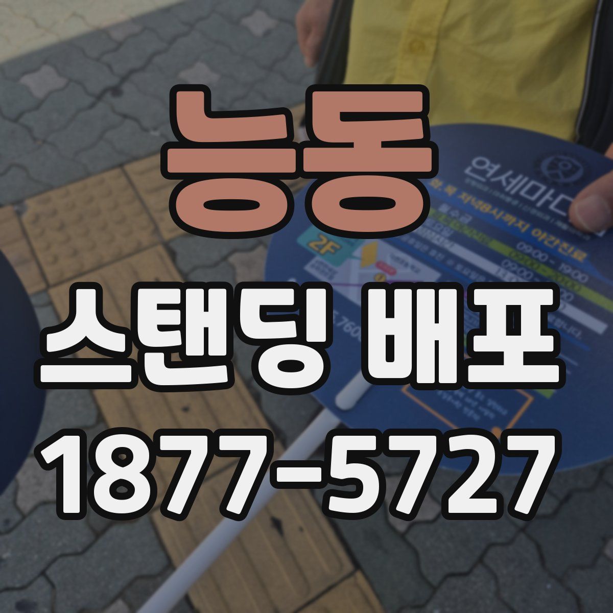 능동 스탠딩 배포