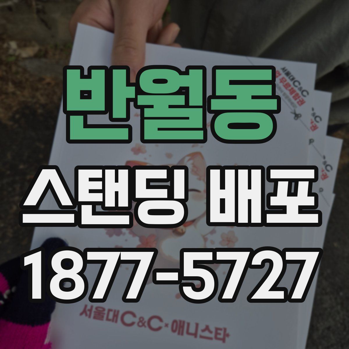 반월동 스탠딩 배포