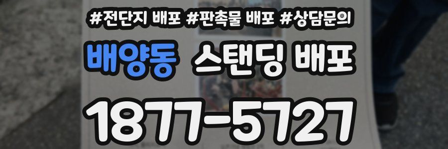 배양동 스탠딩 배포