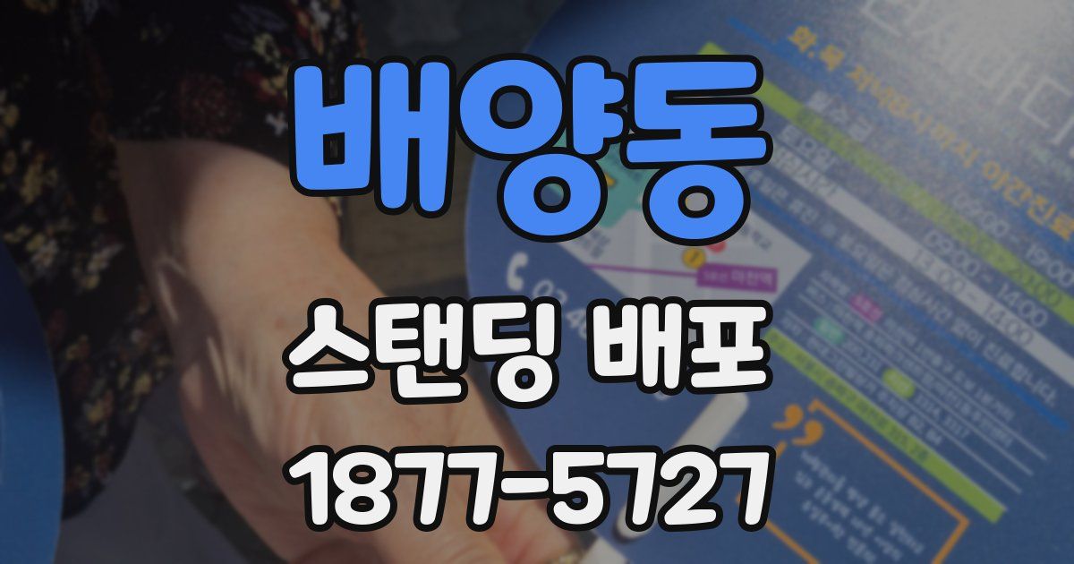 배양동 스탠딩 배포