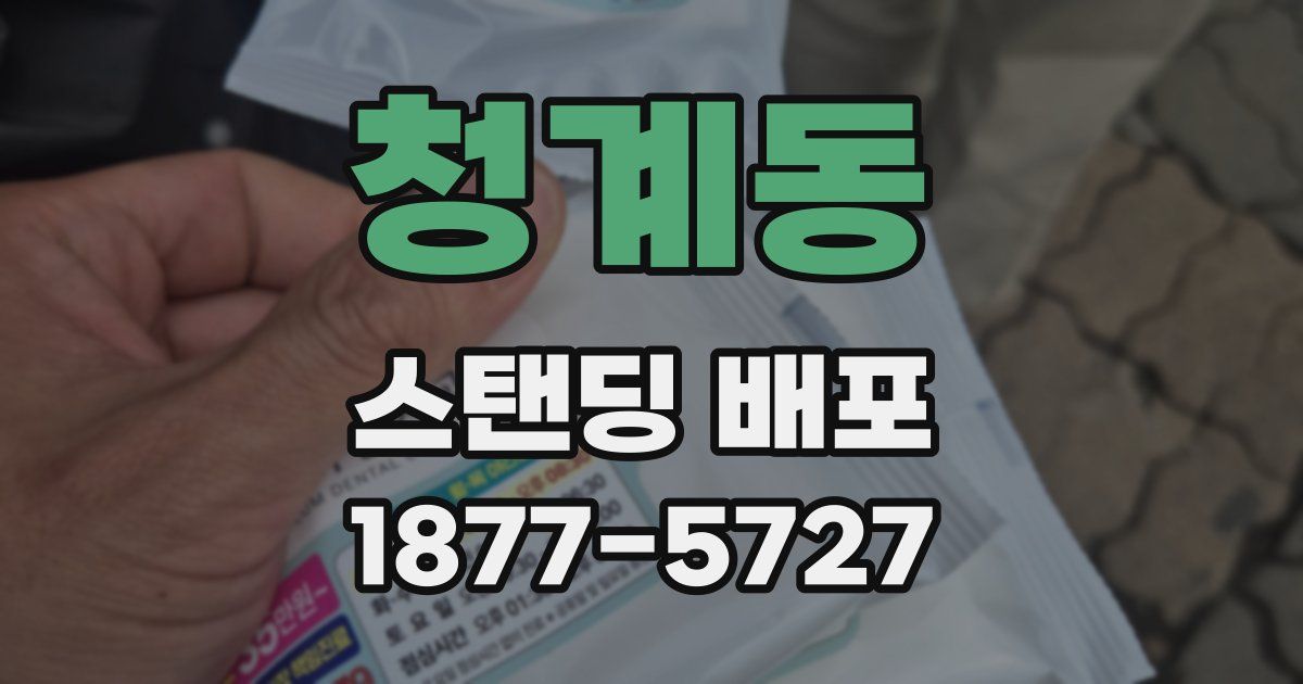 청계동 스탠딩 배포
