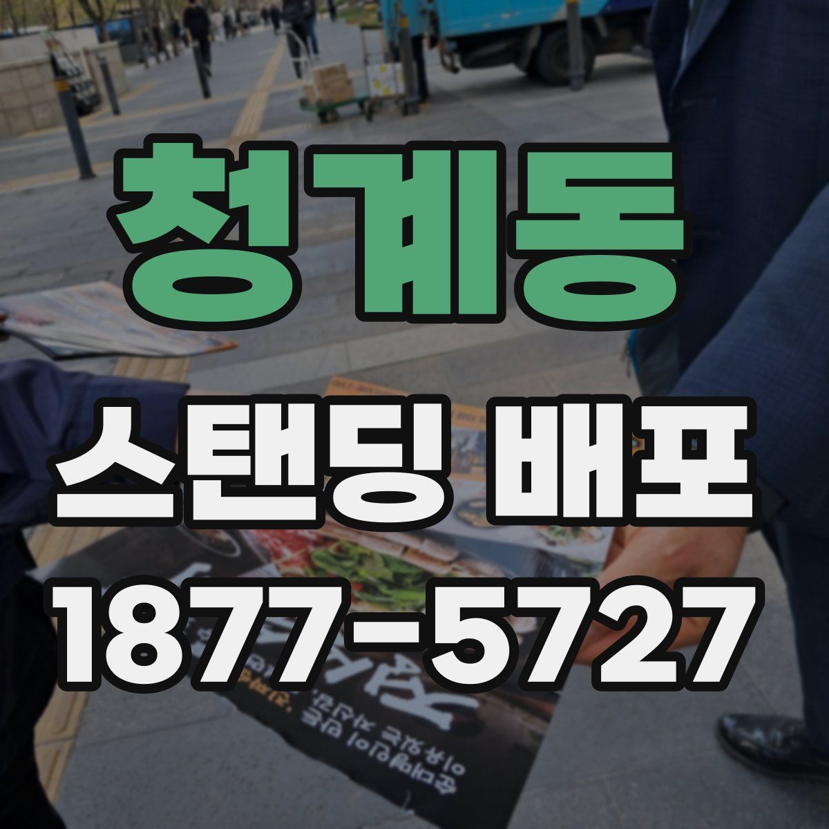 청계동 스탠딩 배포