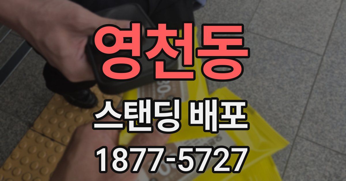 영천동 스탠딩 배포