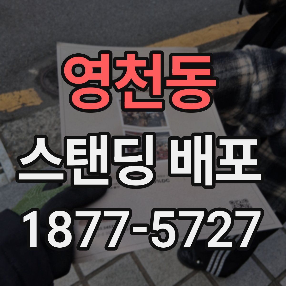 영천동 스탠딩 배포