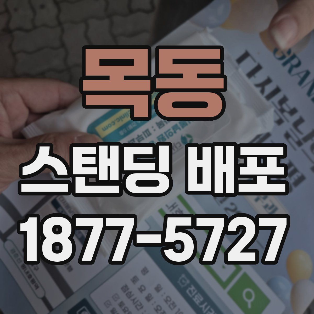 목동 스탠딩 배포