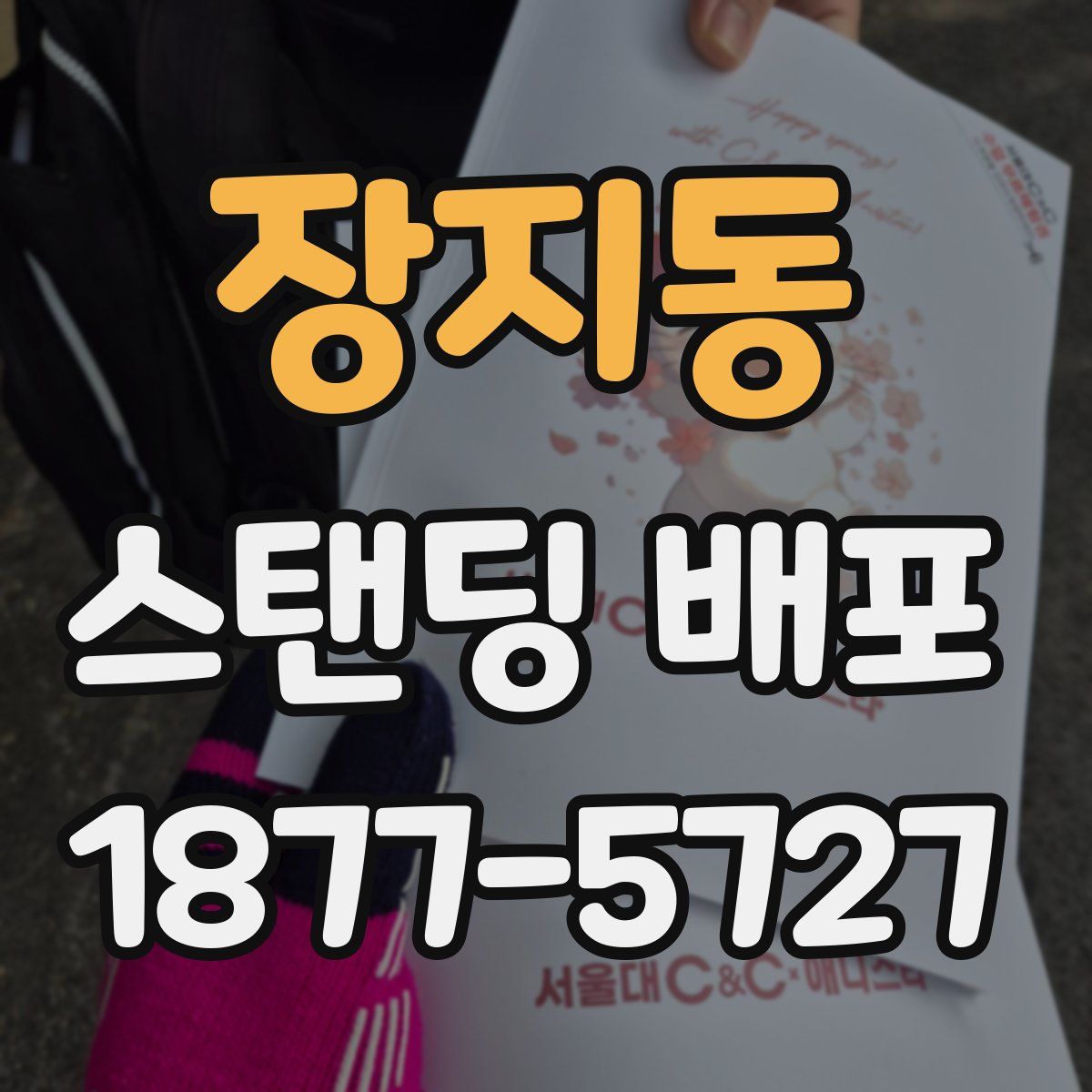 장지동 스탠딩 배포