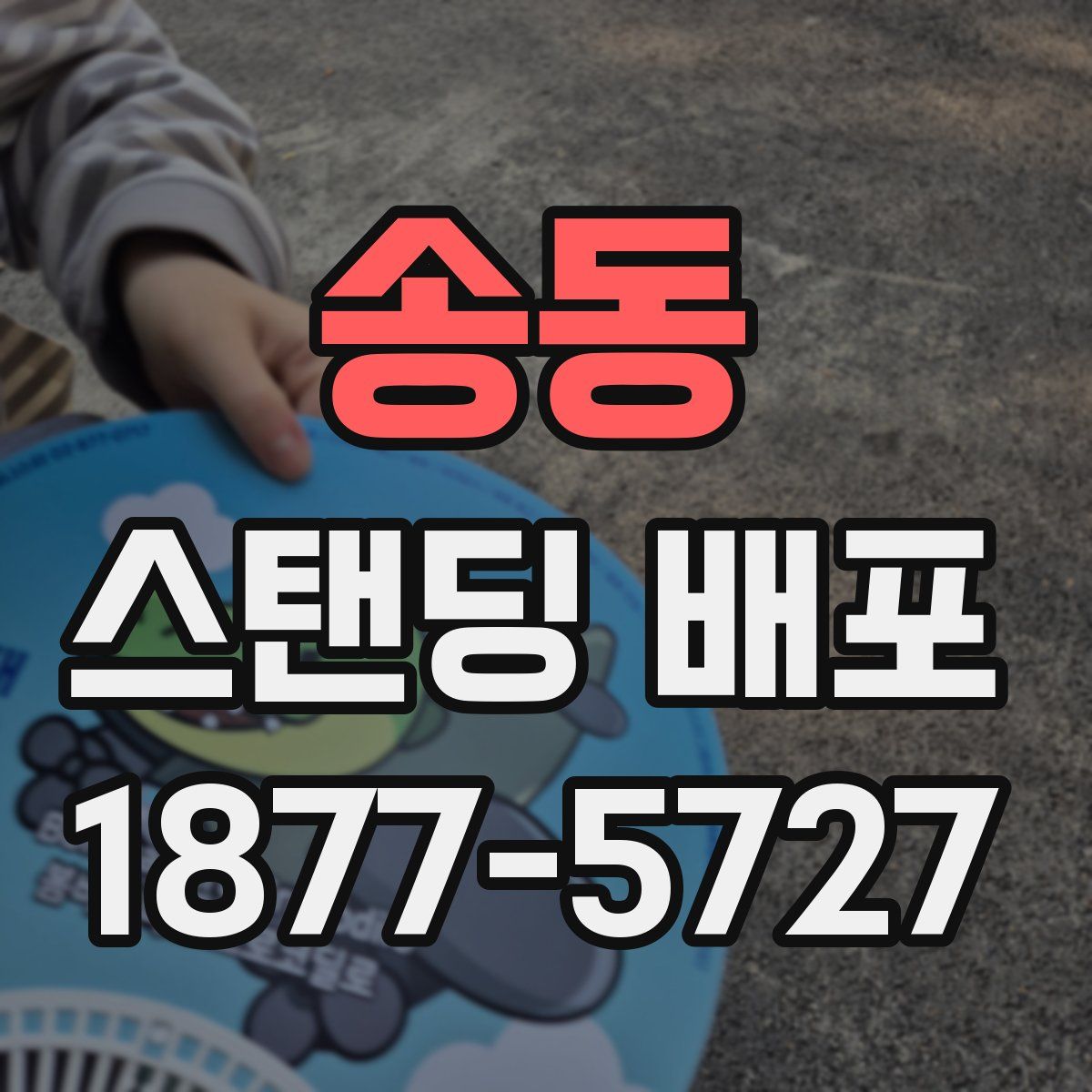 송동 스탠딩 배포