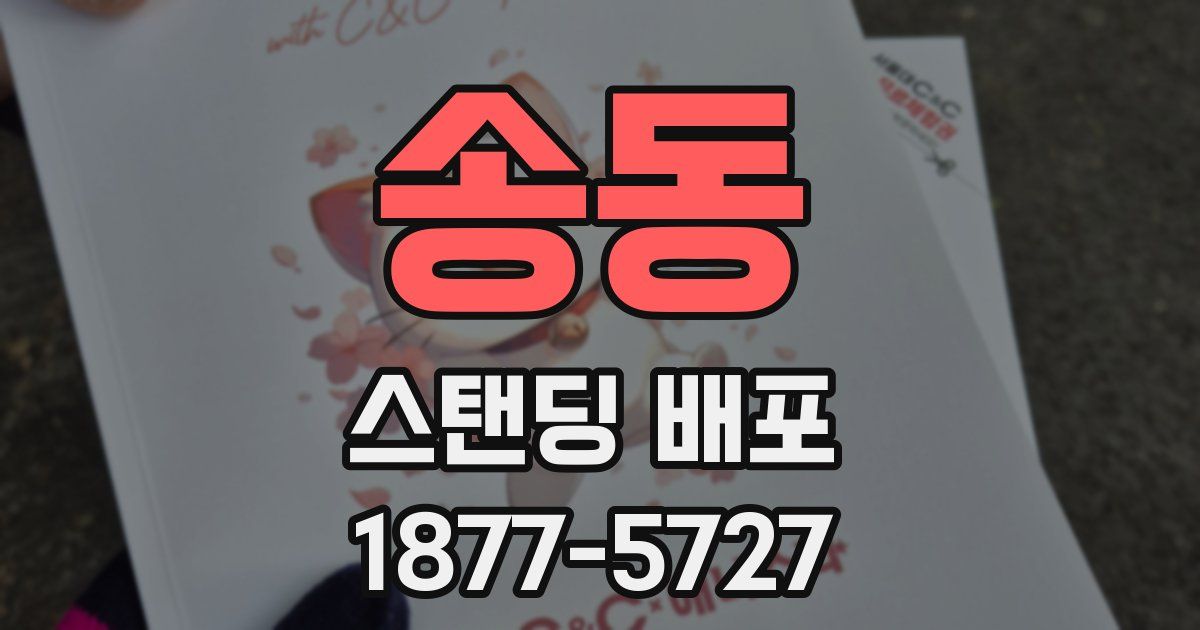 송동 스탠딩 배포