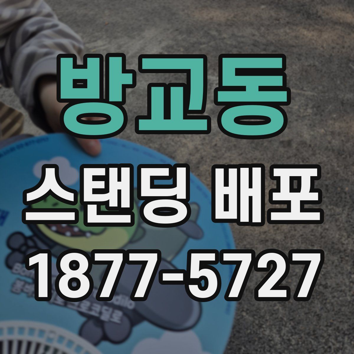 방교동 스탠딩 배포