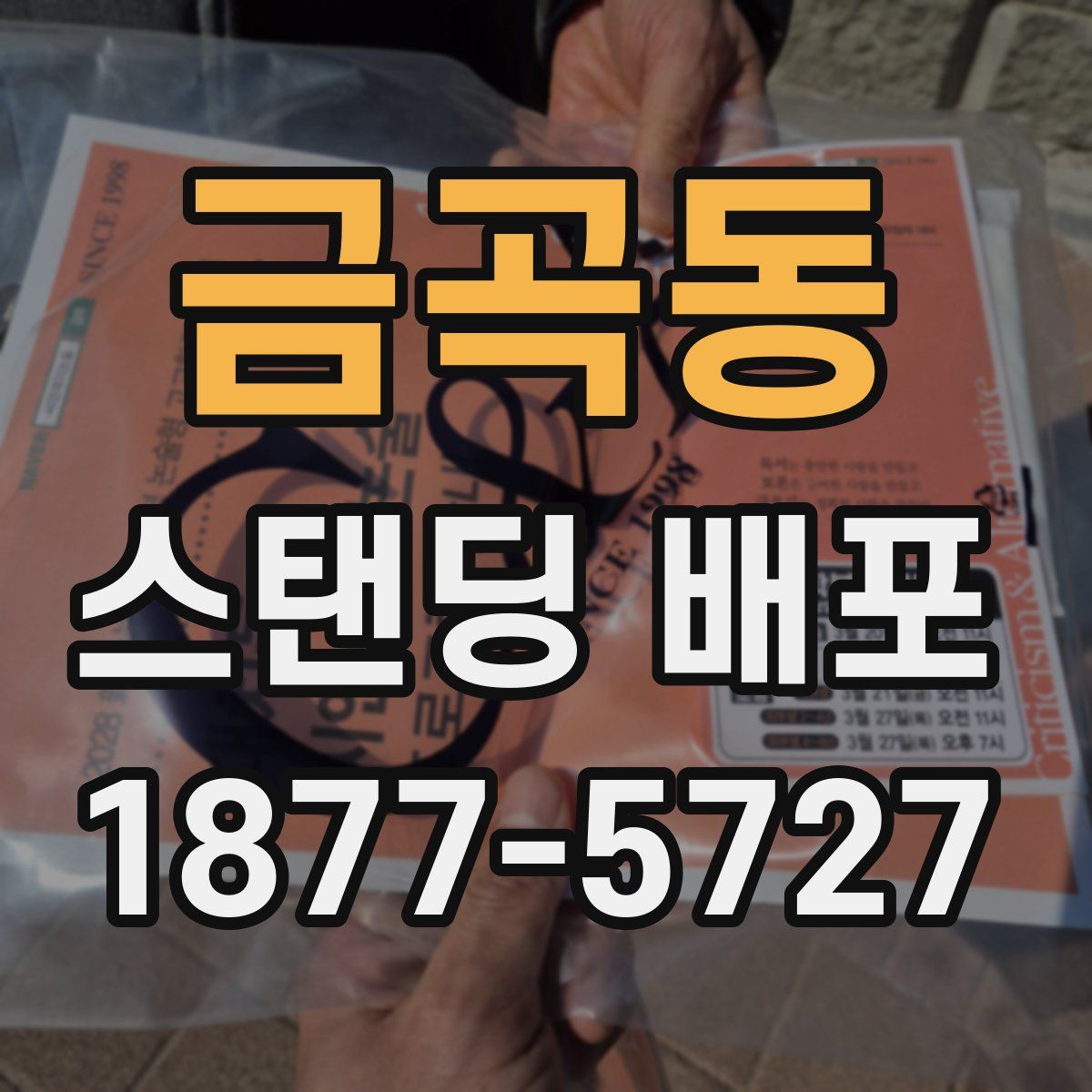 금곡동 스탠딩 배포