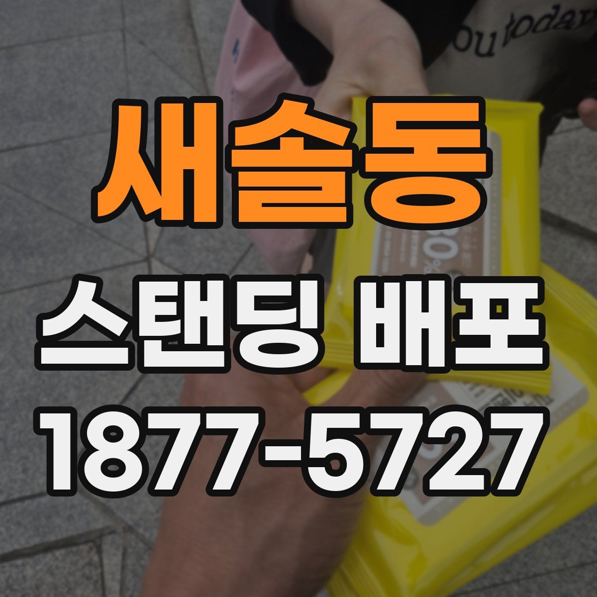 새솔동 스탠딩 배포