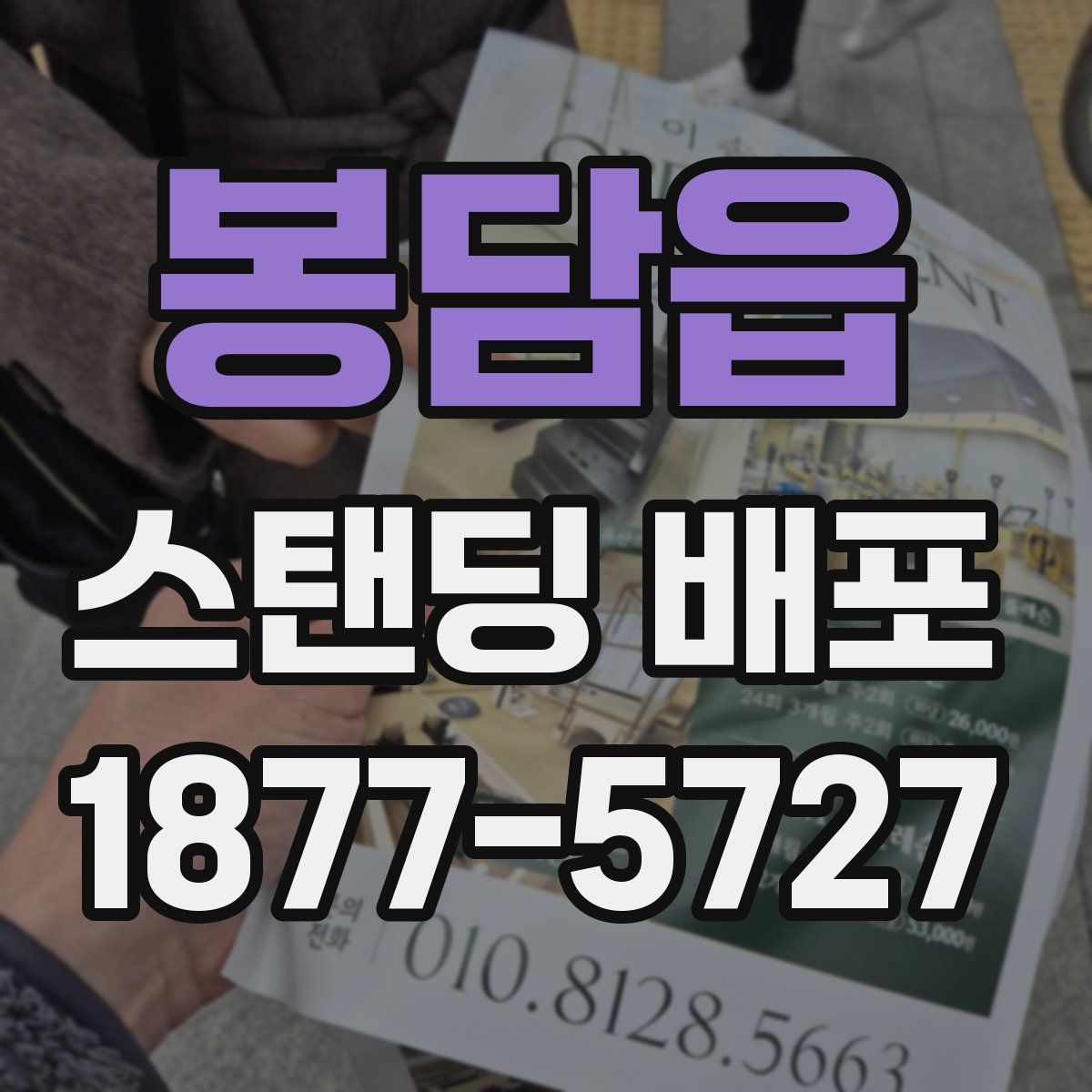 봉담읍 스탠딩 배포