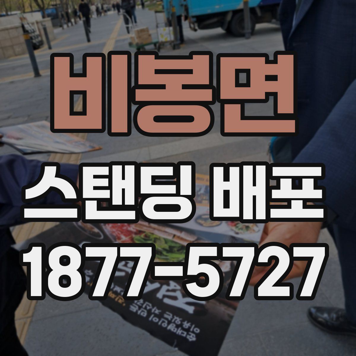 비봉면 스탠딩 배포