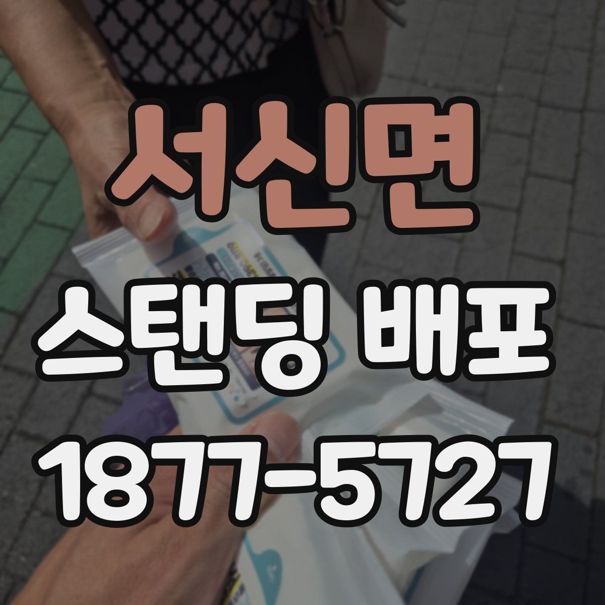 서신면 스탠딩 배포