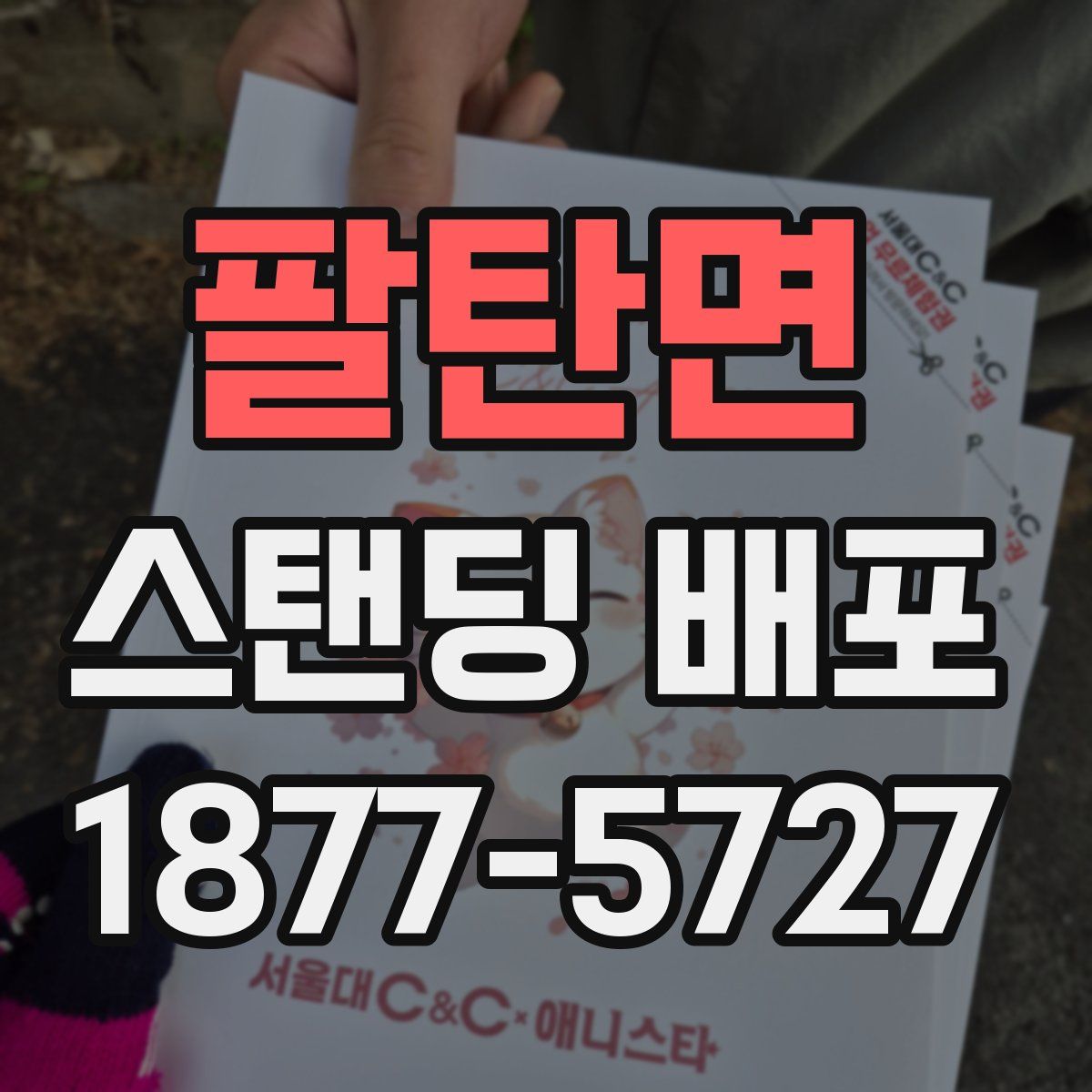 팔탄면 스탠딩 배포