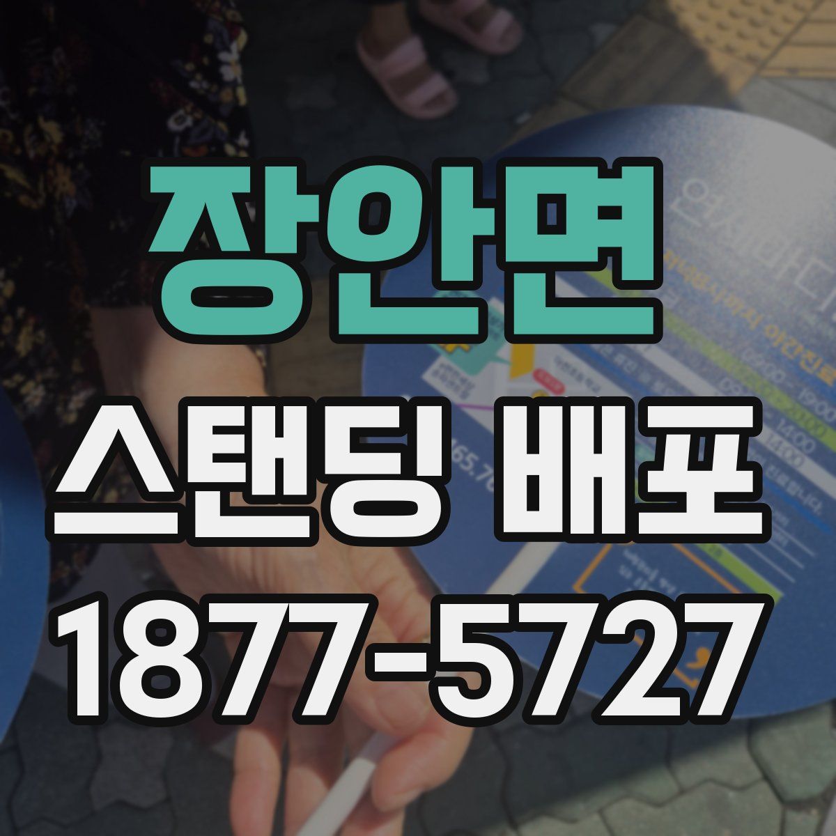 장안면 스탠딩 배포