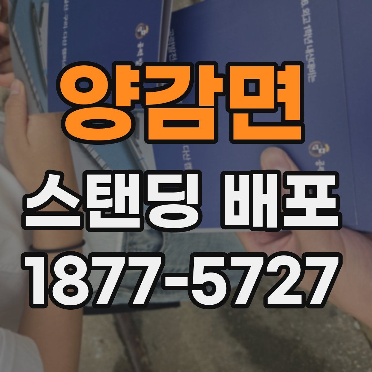 양감면 스탠딩 배포