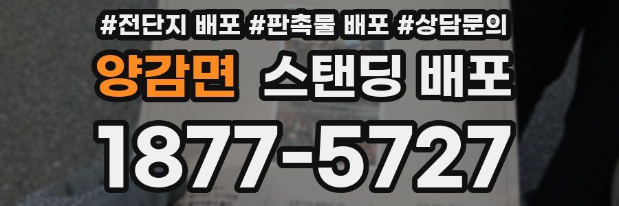 양감면 스탠딩 배포