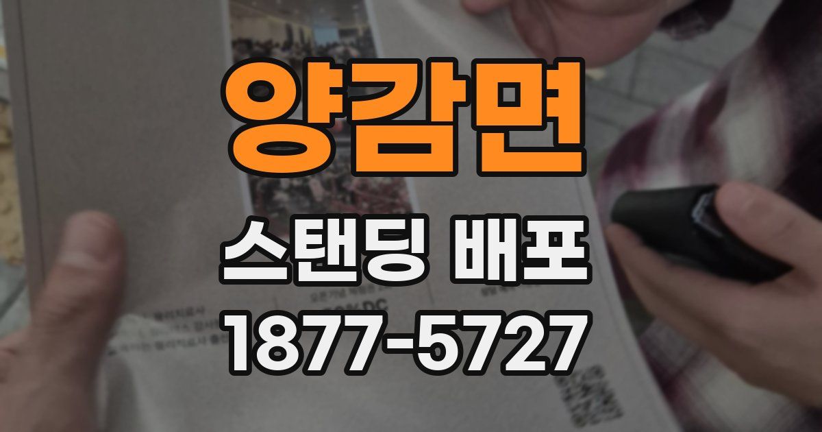 양감면 스탠딩 배포
