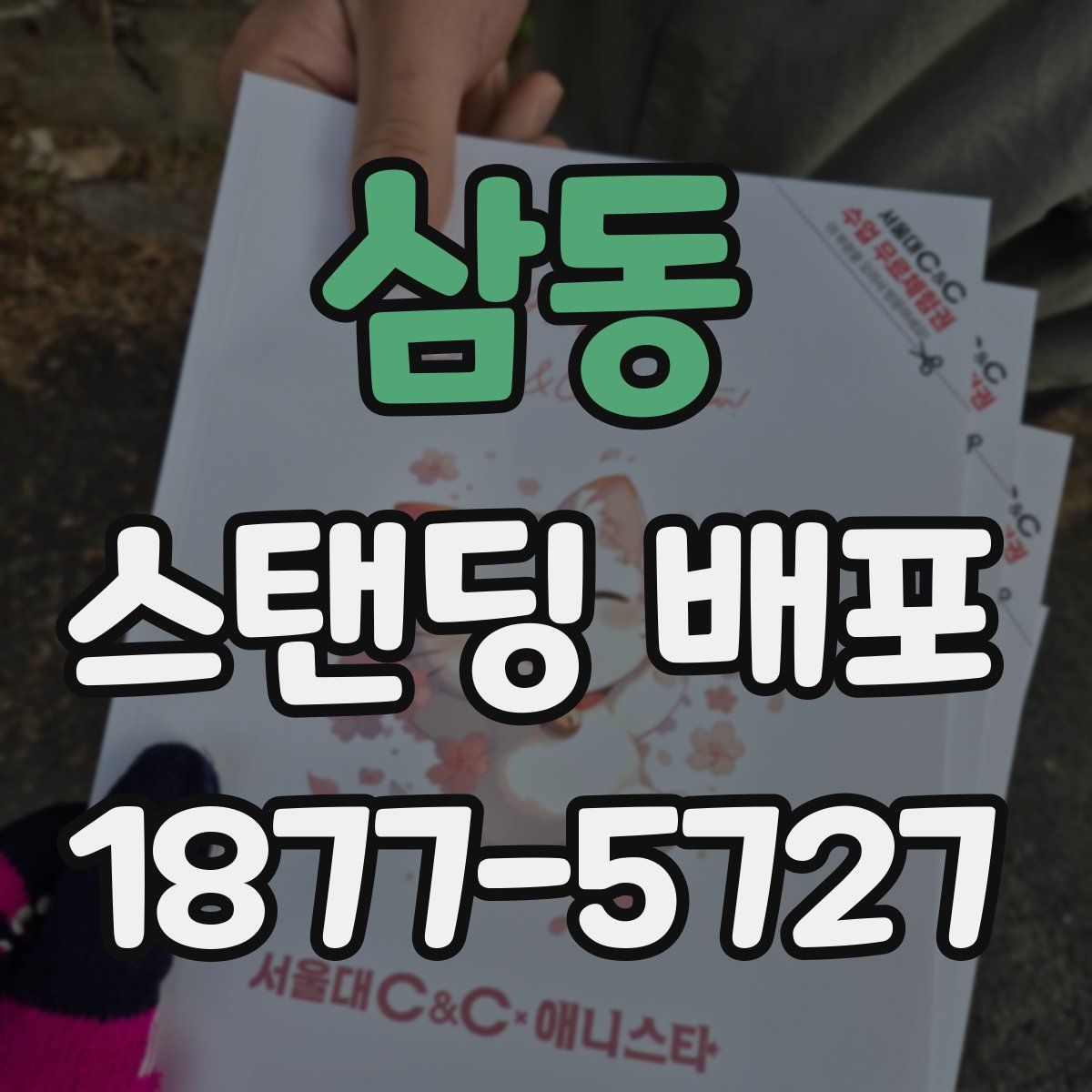 삼동 스탠딩 배포