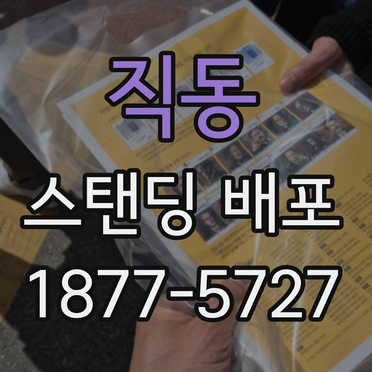 직동 스탠딩 배포