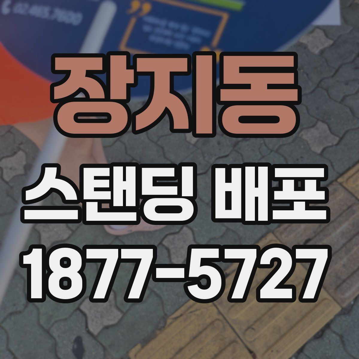 장지동 스탠딩 배포
