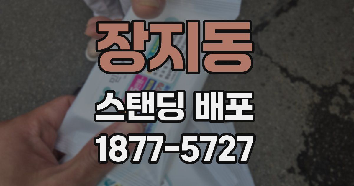 장지동 스탠딩 배포