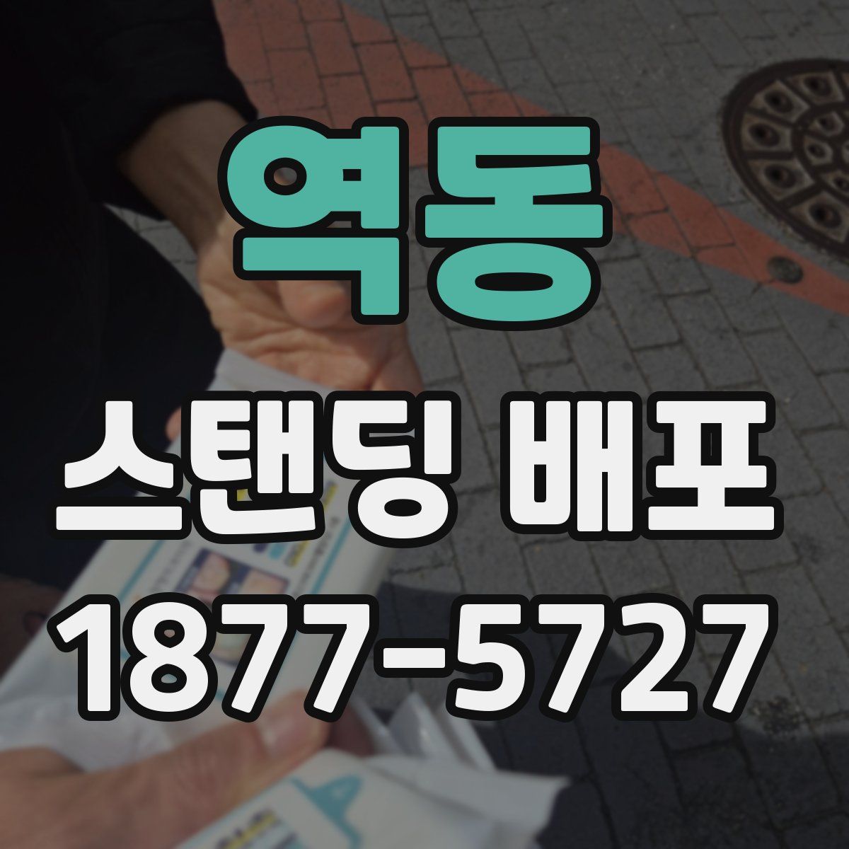 역동 스탠딩 배포