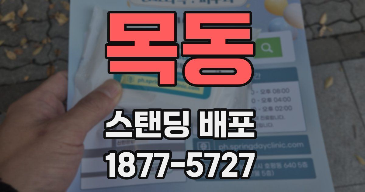 목동 스탠딩 배포