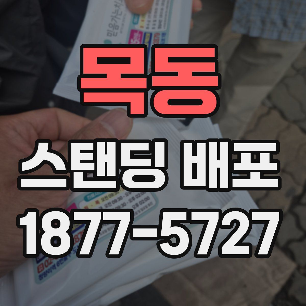 목동 스탠딩 배포