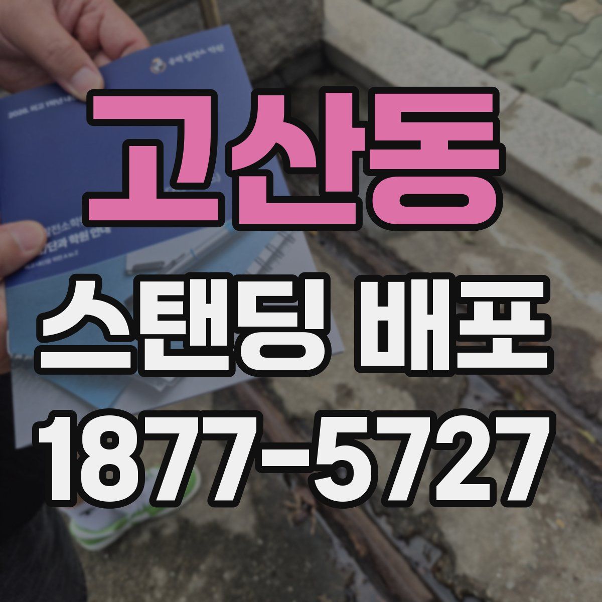 고산동 스탠딩 배포