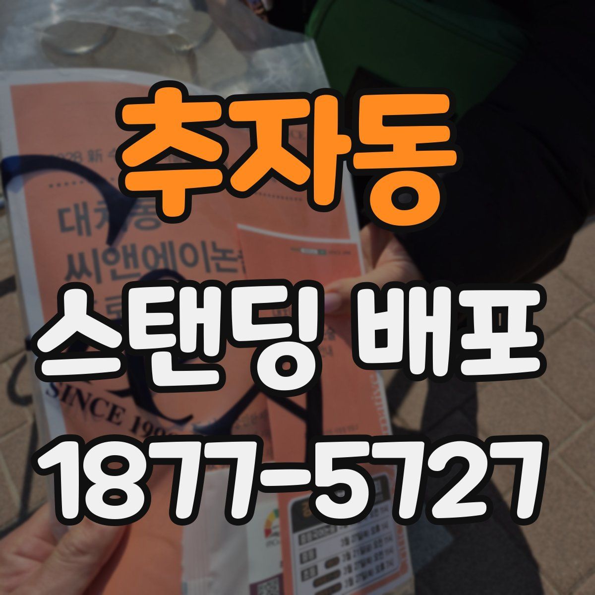 추자동 스탠딩 배포